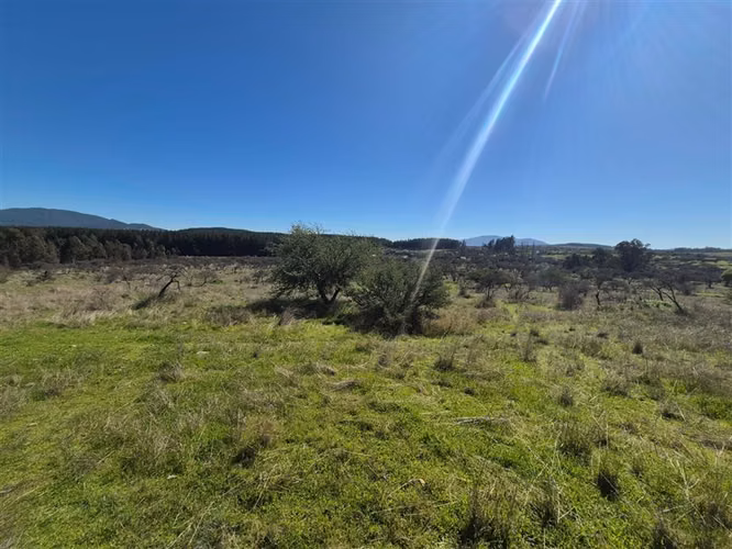 Parcelas en Chillán rol propio a min de San Nicolás crédito