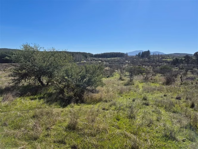 Parcelas en Chillán rol propio a min de San Nicolás crédito