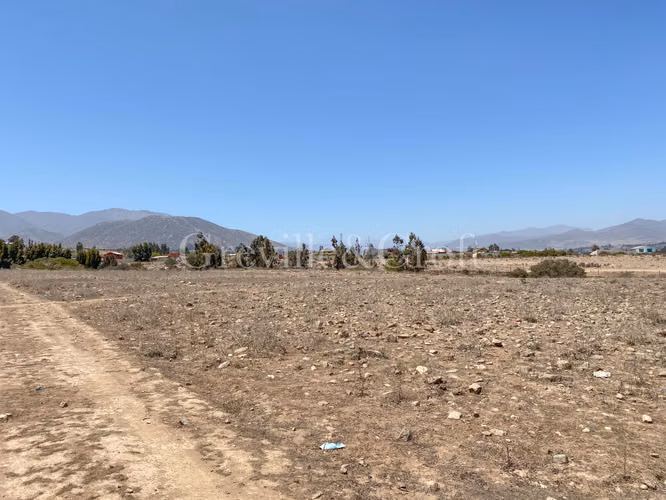 Parcela de 10Ha planas, Altovalsol (173256)