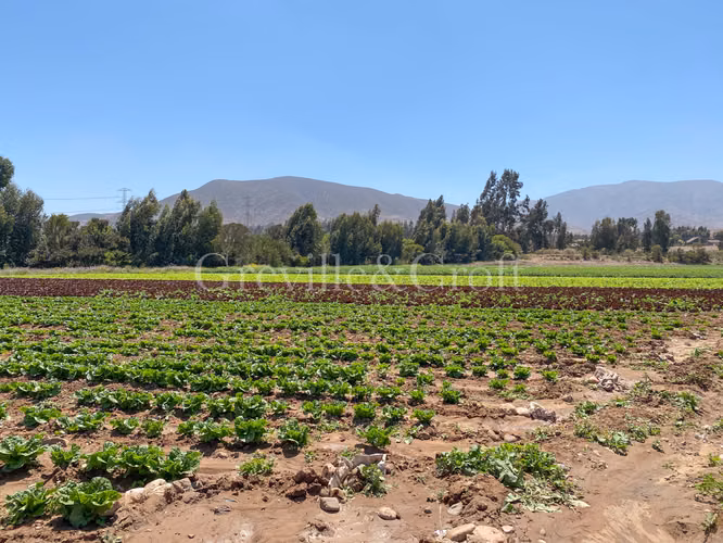 Parcela de 10Ha planas, Altovalsol (173255)