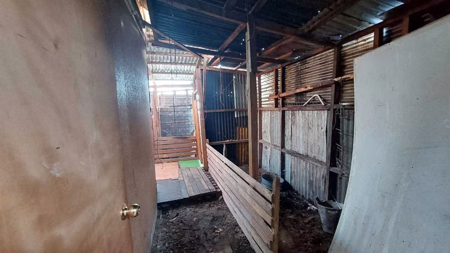 Local Comercial, Varias Habitaciones - Aysén (173212)