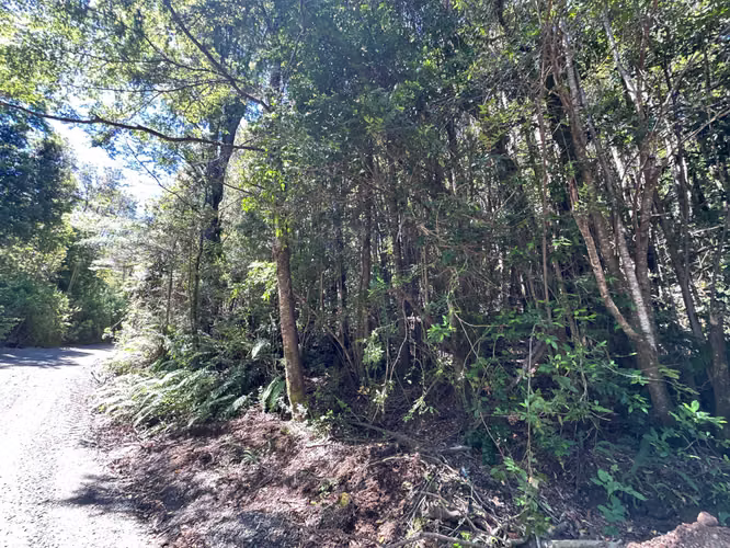 Se Vende Hermosa Parcela Con Luz y Bosque (173206) - Imagen 24