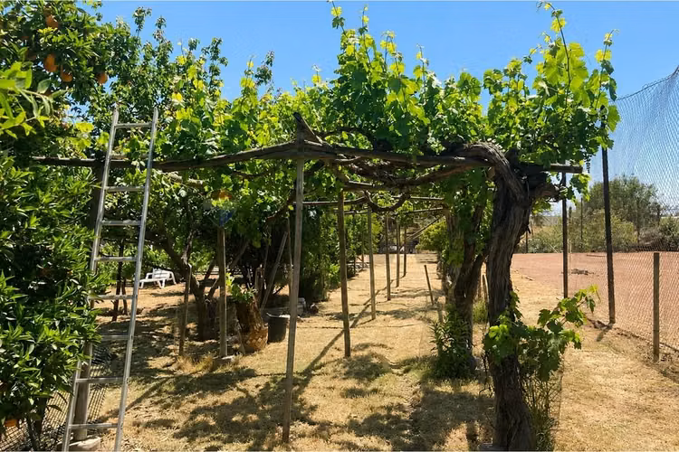 Parcela en chicureo con vida de campo y piscina