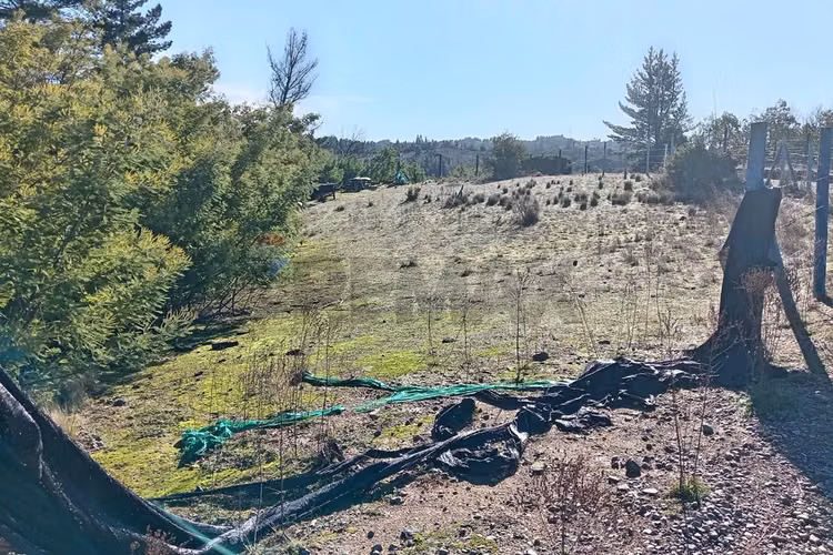 "terreno en venta en yumbel, biobío"