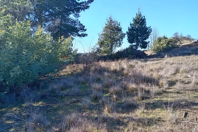 "terreno en venta en yumbel, biobío"