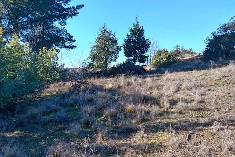 "terreno en venta en yumbel, biobío"