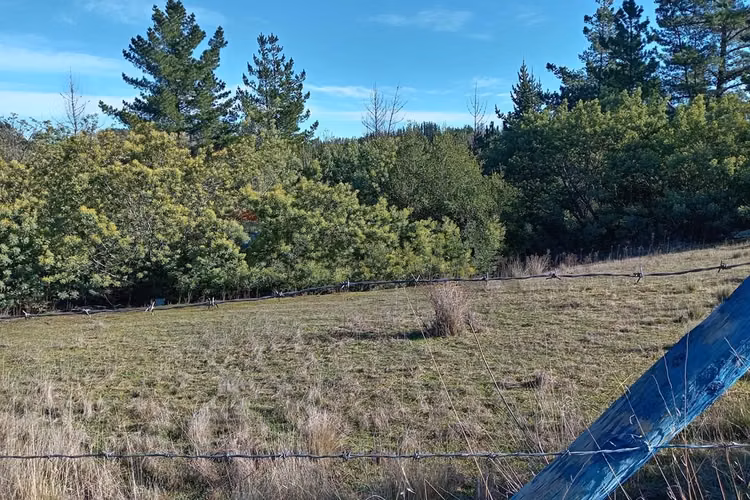 "terreno en venta en yumbel, biobío"