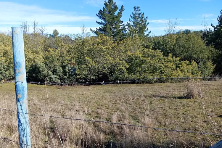 "terreno en venta en yumbel, biobío"