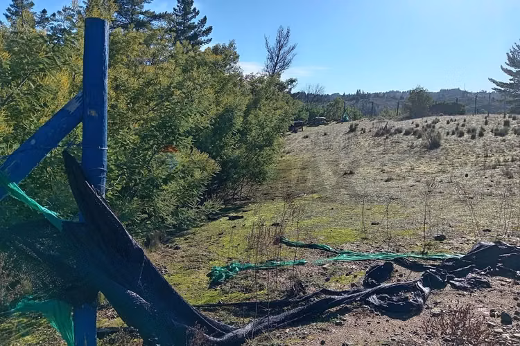 "terreno en venta en yumbel, biobío"