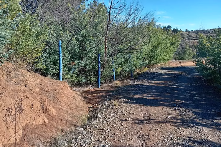 "terreno en venta en yumbel, biobío"