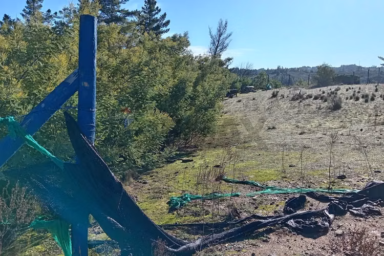"terreno en venta en yumbel, biobío"
