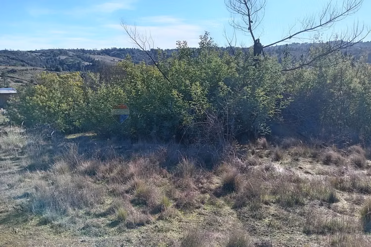 "terreno en venta en yumbel, biobío"