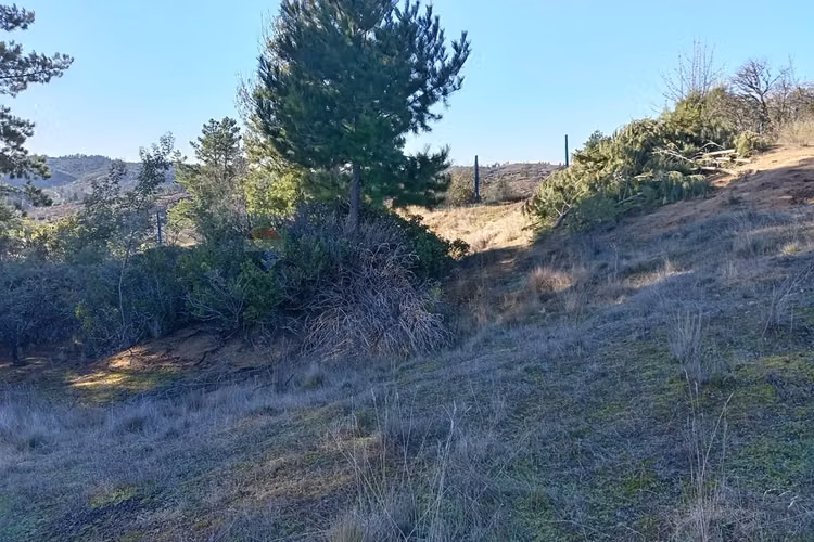 "terreno en venta en yumbel, biobío"