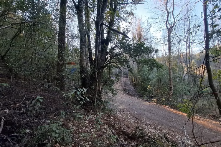 Se vende parcela, proyecto alto llaima, cherquenco