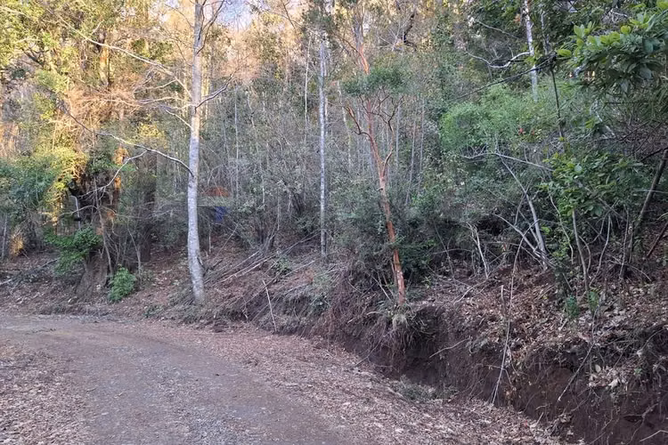 Se vende parcela, proyecto alto llaima, cherquenco