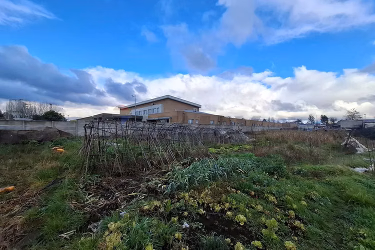 Se vende terreno para desarrollo, victoria