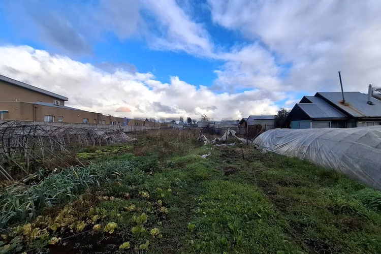 Se vende terreno para desarrollo, victoria