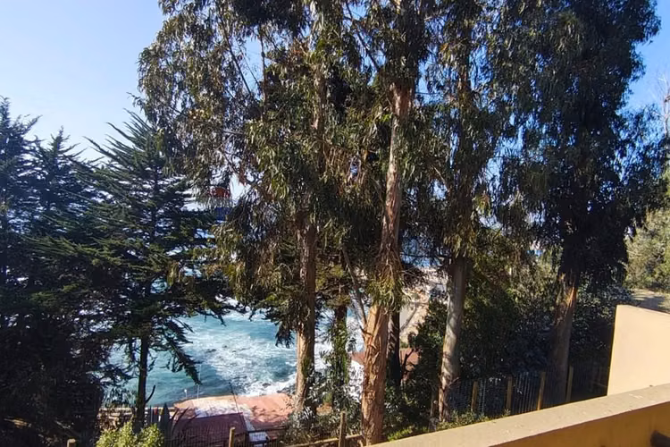 Vive o invierte  frente al mar en horcón