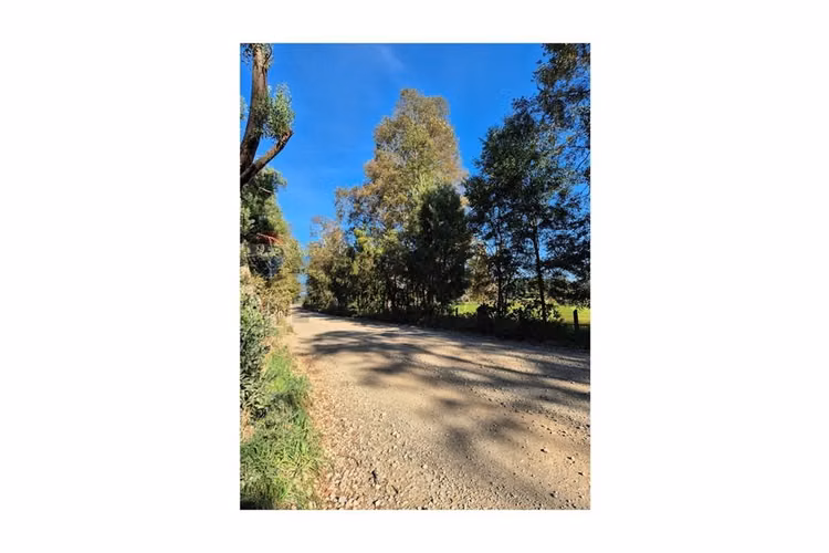 Campo 5,7 ha en paillaco | ruta 5 sur