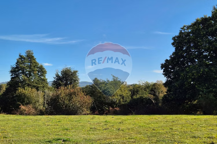 Campo 5,7 ha en paillaco | ruta 5 sur