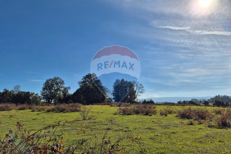 Campo 5,7 ha en paillaco | ruta 5 sur