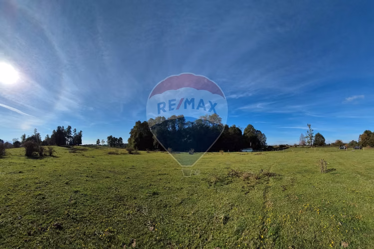 Campo 5,7 ha en paillaco | ruta 5 sur