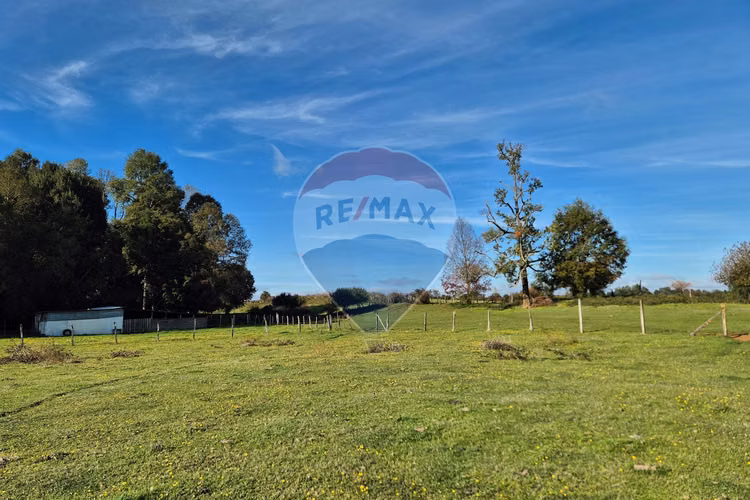 Campo 5,7 ha en paillaco | ruta 5 sur