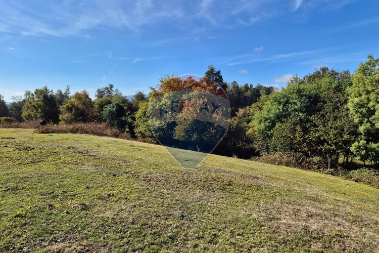 Campo 5,7 ha en paillaco | ruta 5 sur