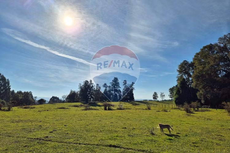 Campo 5,7 ha en paillaco | ruta 5 sur