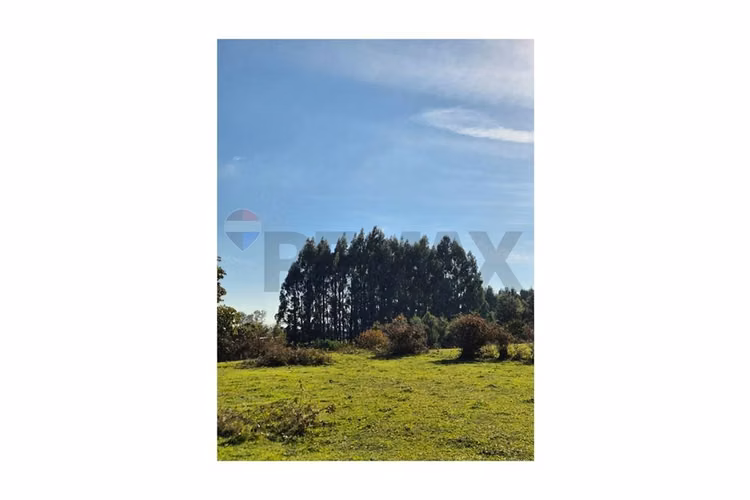Campo 5,7 ha en paillaco | ruta 5 sur