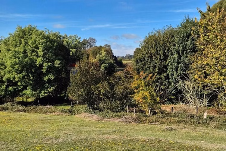 Campo 5,7 ha en paillaco | ruta 5 sur