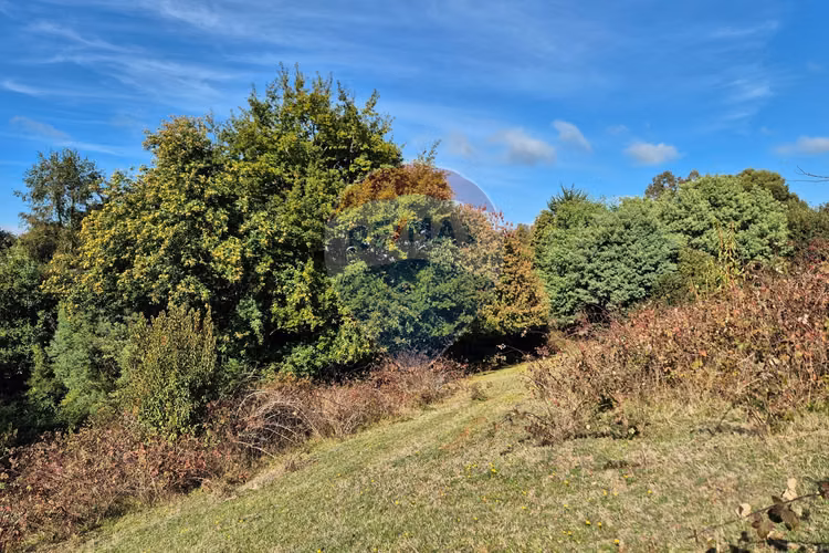 Campo 5,7 ha en paillaco | ruta 5 sur