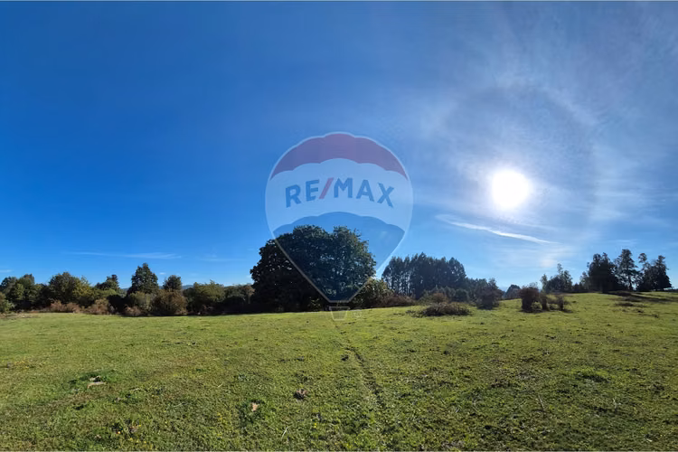 Campo 5,7 ha en paillaco | ruta 5 sur
