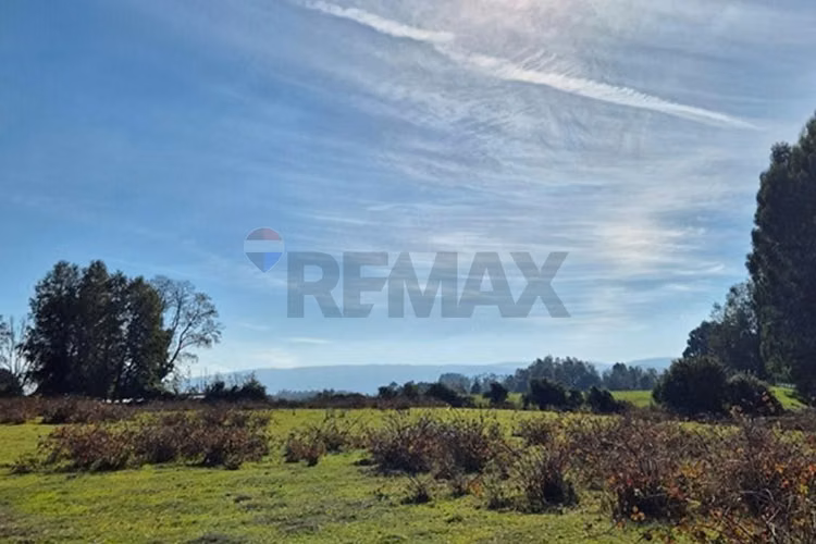 Campo 5,7 ha en paillaco | ruta 5 sur