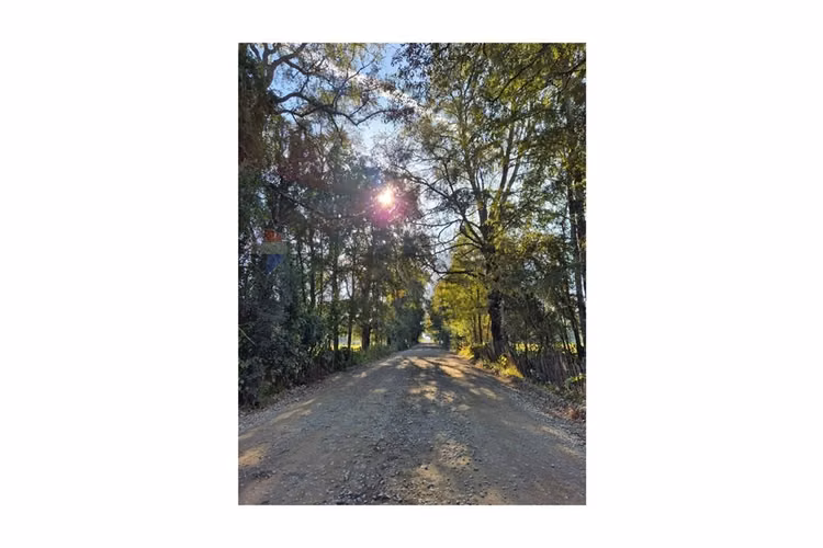 Campo 5,7 ha en paillaco | ruta 5 sur