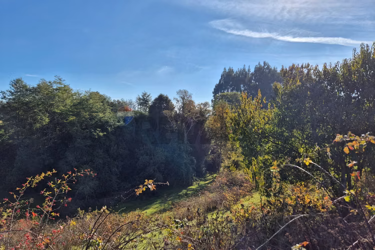 Campo 5,7 ha en paillaco | ruta 5 sur