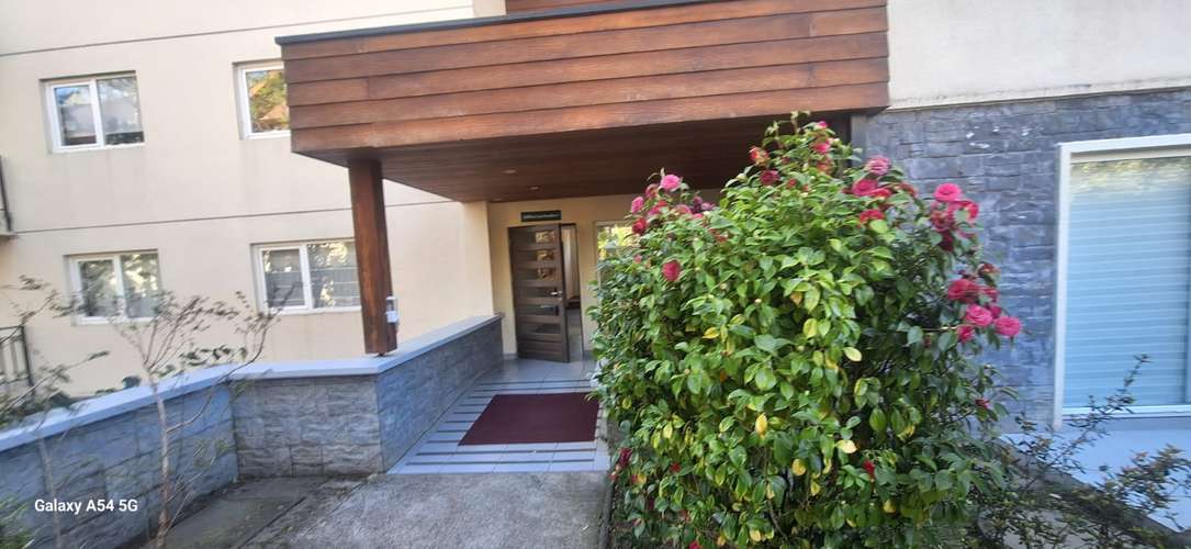ARRIENDO DEPARTAMENTO EN CONDOMINIO PUCON ANDINO