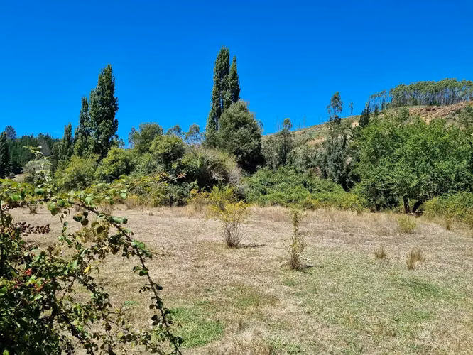 Hermoso Campo Con Bosque Nativo Y Vertientes - 12 Hectáreas