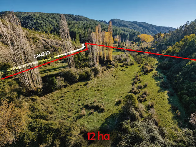 Hermoso Campo Con Bosque Nativo Y Vertientes - 12 Hectáreas