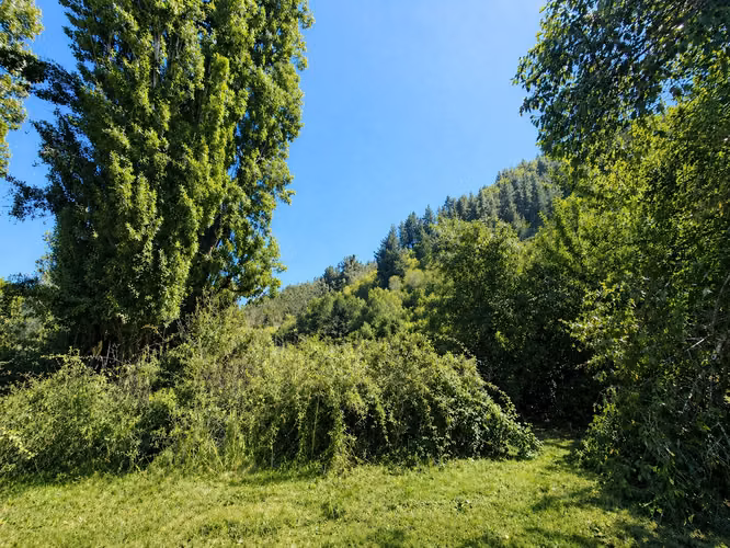 Hermoso Campo Con Bosque Nativo Y Vertientes - 12 Hectáreas