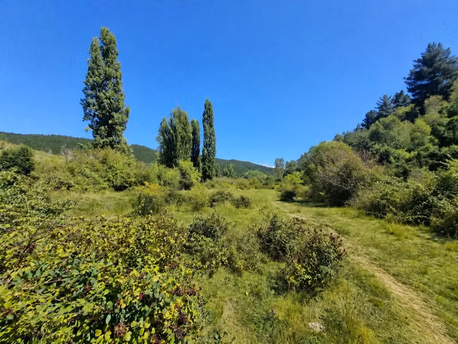 Hermoso Campo Con Bosque Nativo Y Vertientes - 12 Hectáreas