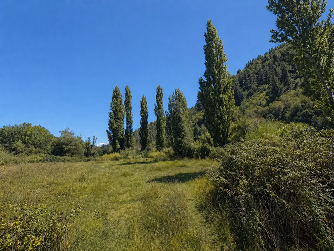 Hermoso Campo Con Bosque Nativo Y Vertientes - 12 Hectáreas