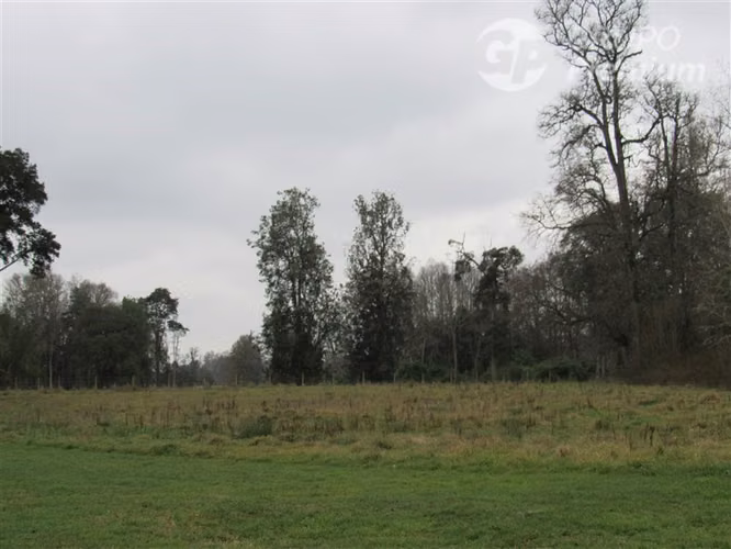 Parcela en venta a 15 minutos de Frutillar