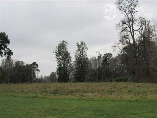 Parcela en venta a 15 minutos de Frutillar - Imagen 2