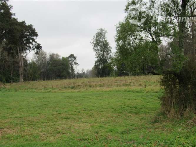 Parcela en venta a 15 minutos de Frutillar - Imagen 3