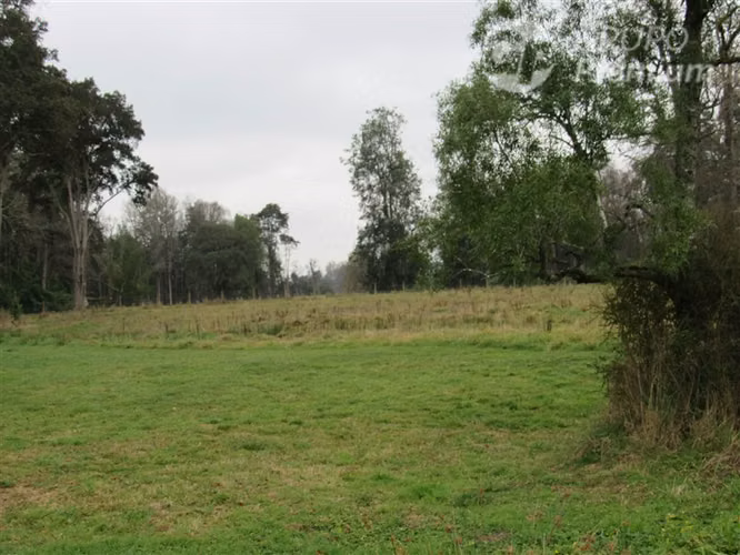 Parcela en venta a 15 minutos de Frutillar