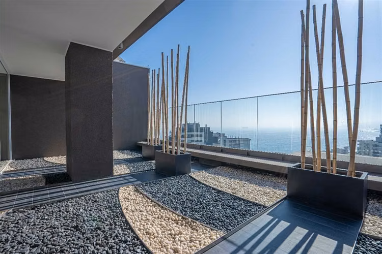 Viña del mar Depto AMOBLADO HASTA diciembre