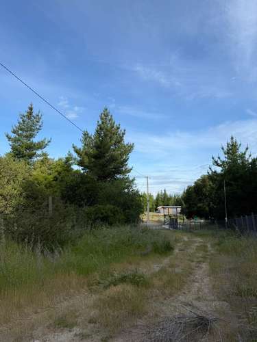 Parcela, 1 Hectárea, San Rosendo (167365)