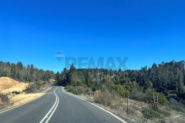 Terreno 5.000 m², la martina (litueche)