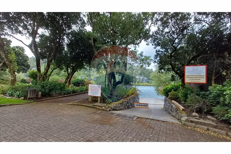 Arriendo año corrido en pucón - pinares.